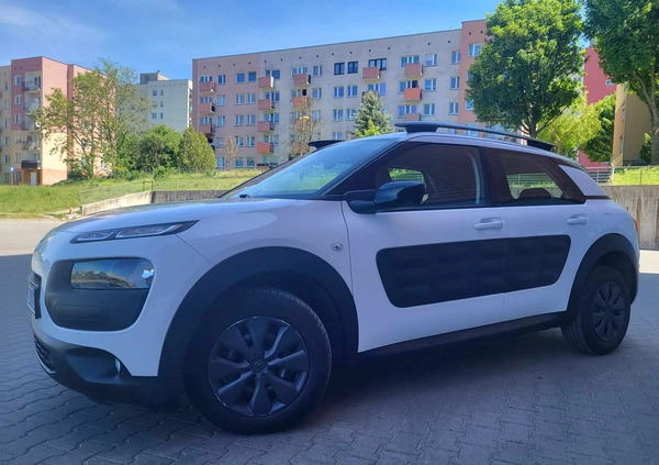 Citroen C4 Cactus cena 27900 przebieg: 250000, rok produkcji 2015 z Kisielice małe 211